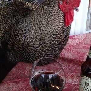 Meet your Posher, Janet